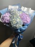 Фото флориста 5: Букет из 7 гортензий «Нарисуй глаза только синим»