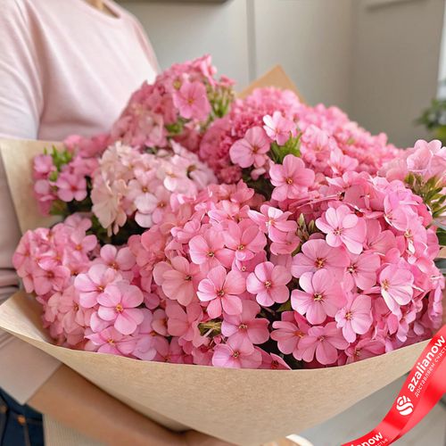 Букет из 19 розовых флоксов в крафте