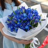 Маленькое фото 1: Букет из 45 синих ирисов в белой бумаге