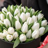 Маленькое фото 3: Букет из 31 белоснежного тюльпана в черной коробке, Россия