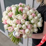 Маленькое фото 1: Букет из 50 пионовидных бело-розовых тюльпанов, Голландия