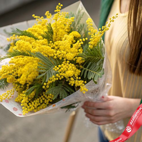 Букет 19 мимоз в пленке