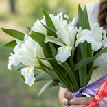 Маленькое фото 2: Букет из 7 белых ирисов с фиолетовой лентой