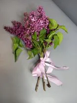 Фото флориста 4: Акция! Букет из сирени S