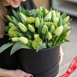 Маленькое фото 1: Букет из 35 зеленых тюльпанов с зеленью в черной коробке, Россия