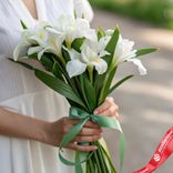 Маленькое фото 1: Букет из 7 белых ирисов с зеленой лентой