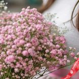 Маленькое фото 3: Букет из 7 розовых гипсофил с розовой лентой