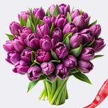 Маленькое фото 1: Букет из 60 пионовидных фиолетовых тюльпанов, Голландия