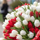 Маленькое фото 2: Букет из 500 белых и красных пионовидных тюльпанов, Голландия