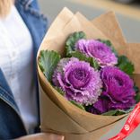 Маленькое фото 2: Букет из 3 фиолетовых брассик в крафте