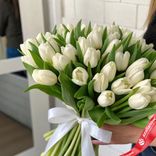 Маленькое фото 2: 51 белый тюльпан с лентой, Россия