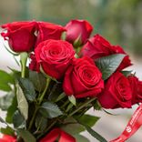 Маленькое фото 3: 9 красных роз 60 см, Россия