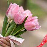 Маленькое фото 3: Букет из 5 розовых тюльпанов с лентой