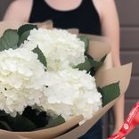 Маленькое фото 3: Букет из 3 белых гортензий в крафте