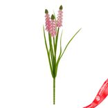 Маленькое фото 1: Мускари на вставке, 30см, светло-розовый