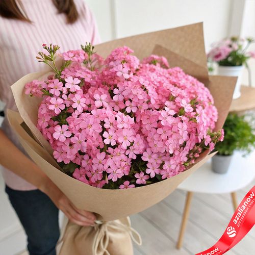 Букет из 45 розовых флоксов в крафте