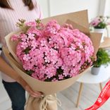 Маленькое фото 1: Букет из 45 розовых флоксов в крафте