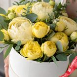 Маленькое фото 2: Букет из 15 желтых пионов с эвкалиптом в коробке, Голландия