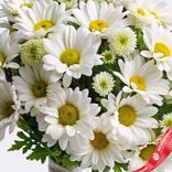 Маленькое фото 3: Букет из 9 кустовых белых хризантем , Голландия
