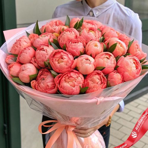 Фото 2: Букет из 101 кораллового пиона Coral Charme в пленке