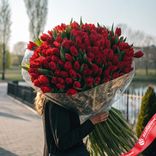 Маленькое фото 1: Букет из 400 красных тюльпанов в пленке