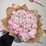 Фото флориста 4: Букет из 11 розовых гортензий
