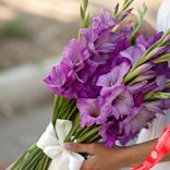 Маленькое фото 2: Букет из 11 сиреневых гладиолусов с белой лентой