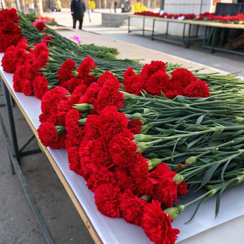 Фото 2: Букет из 90 красных гвоздик