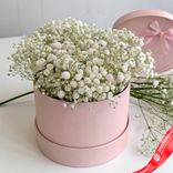 Маленькое фото 1: Букет из 9 гипсофил в розовой коробке