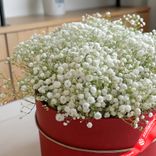 Маленькое фото 2: Букет из 15 гипсофил в красной коробке