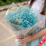 Маленькое фото 1: Букет из 7 голубых гипсофил в пленке