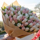 Маленькое фото 2: Букет из 400 розово-белых тюльпанов в крафте