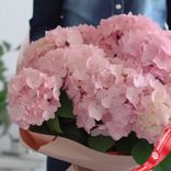 Маленькое фото 2: Букет из 11 розовых гортензий