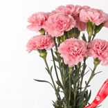 Маленькое фото 4: Букет из 9 розовых гвоздик с лентой
