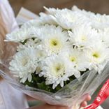 Маленькое фото 2: Букет из 9 белых кустовых хризантем в пленке, Голландия