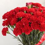 Маленькое фото 3: Букет из 70 красных гвоздик