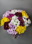 Фото флориста 2: 15 кустовых хризантем микс, Голландия