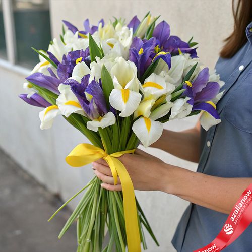 18 белых и 17 фиолетовых ирисов