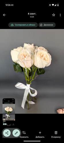 Фото флориста 6: 1 роза