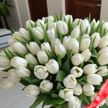 Маленькое фото 2: Букет из 55 белых тюльпанов, Россия