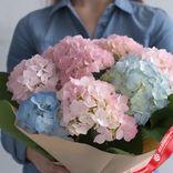 Маленькое фото 2: Букет из 7 розовых и голубых гортензий в крафте