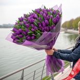 Маленькое фото 1: Букет из 400 фиолетовых тюльпанов в фиолетовой пленке