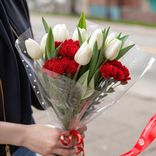 Маленькое фото 1: Букет из 8 белых тюльпанов и 7 красных гвоздик в пленке с лентой