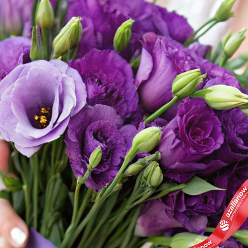 Фото 3: 19 фиолетовых лизиантусов, Израиль