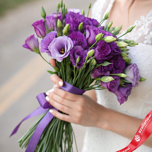 19 фиолетовых лизиантусов, Израиль