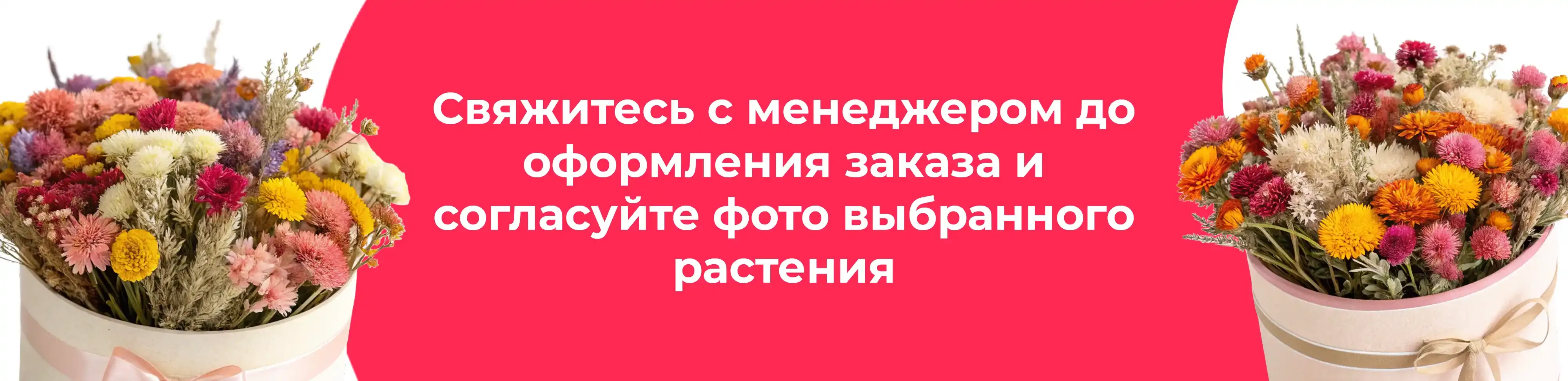 Баннер для рубрики: Наборы сухоцветов