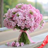 Маленькое фото 1: Букет из 45 розовых флоксов с розовой лентой