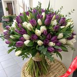 Маленькое фото 1: Букет из 60 фиолетовых и белых тюльпанов с рускусом