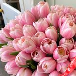 Маленькое фото 2: Букет из 55 пионовидных розовых тюльпанов, Голландия
