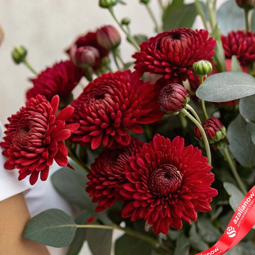 Фото 2: Букет из 5 кустовых красных хризантем с эвкалиптом «Очарование»